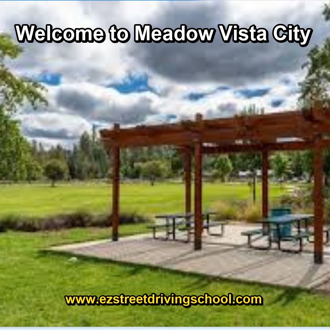 Driving Lessons in Meadow Vista